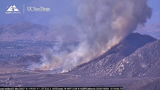 Pico Fire in Riverside County grows to 100 acres; road closed