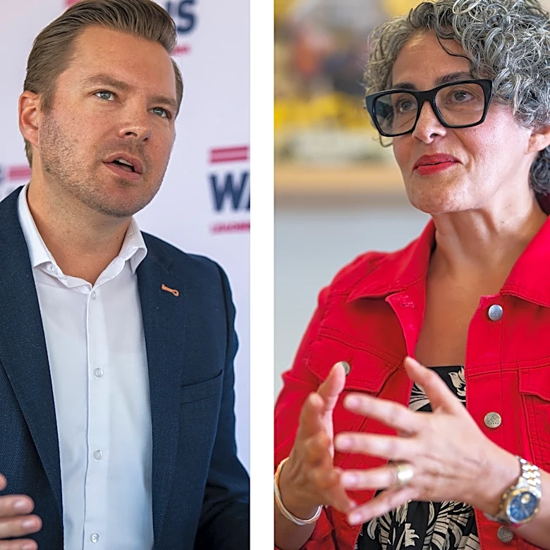 Can Democrat Leila Namvar oust Republican Greg Wallis from assembly?