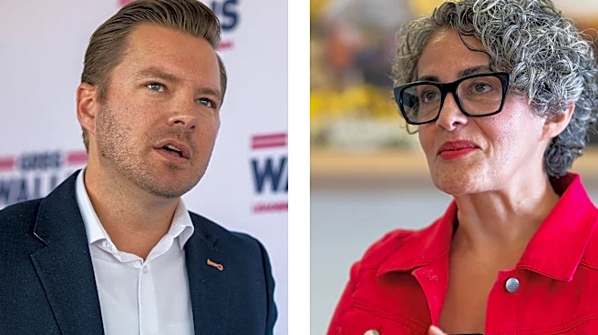 Can Democrat Leila Namvar oust Republican Greg Wallis from assembly?
