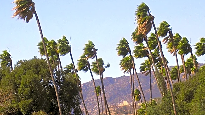 First Santa Ana wind event of the season raises fire weather concerns