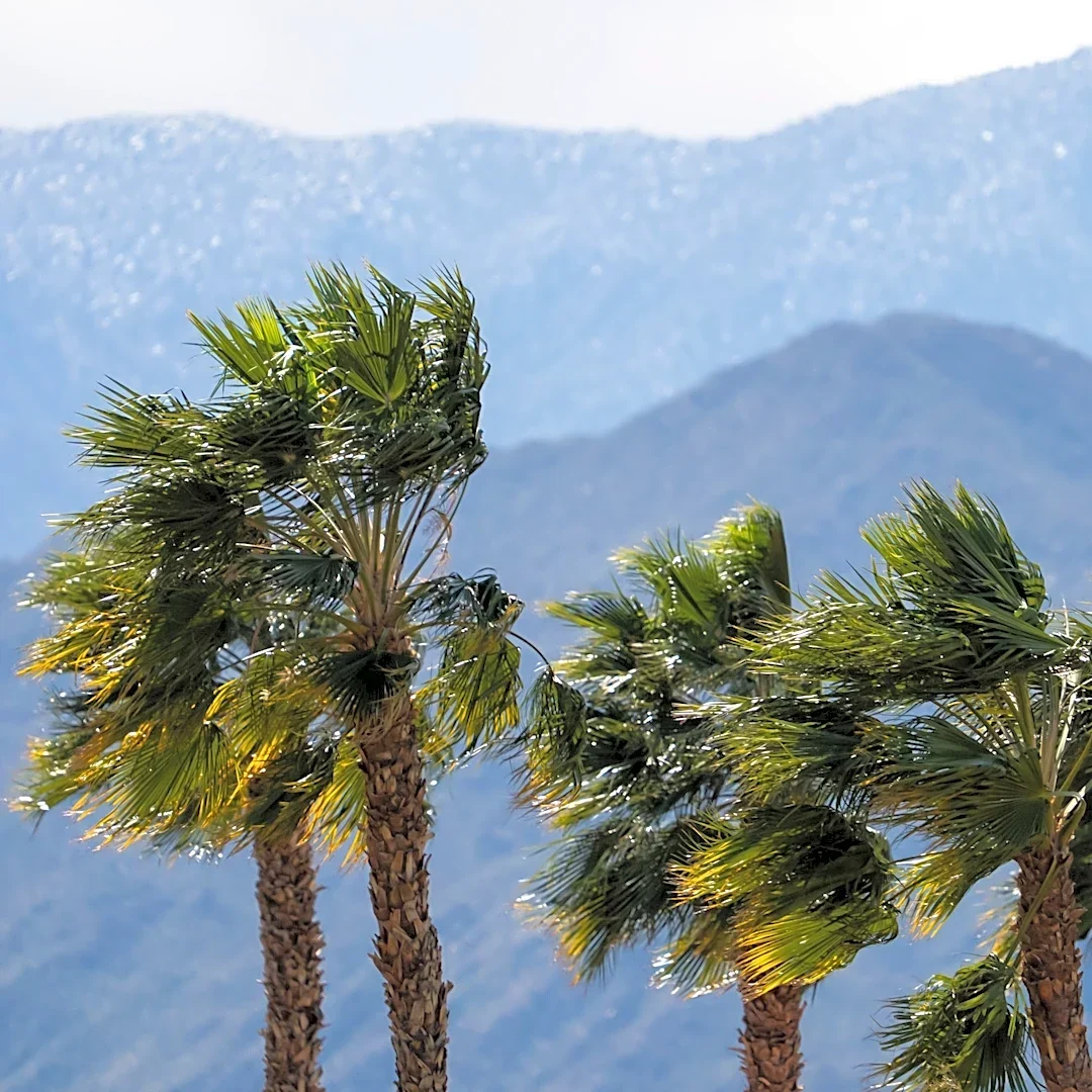 Strong Santa Ana winds increase wildfire risk across Riverside County