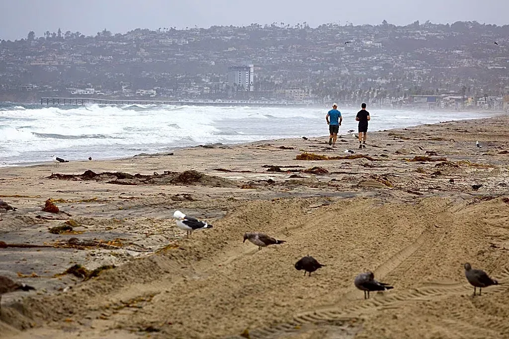 El Niño and a Kelvin wave are brewing — what that means for California