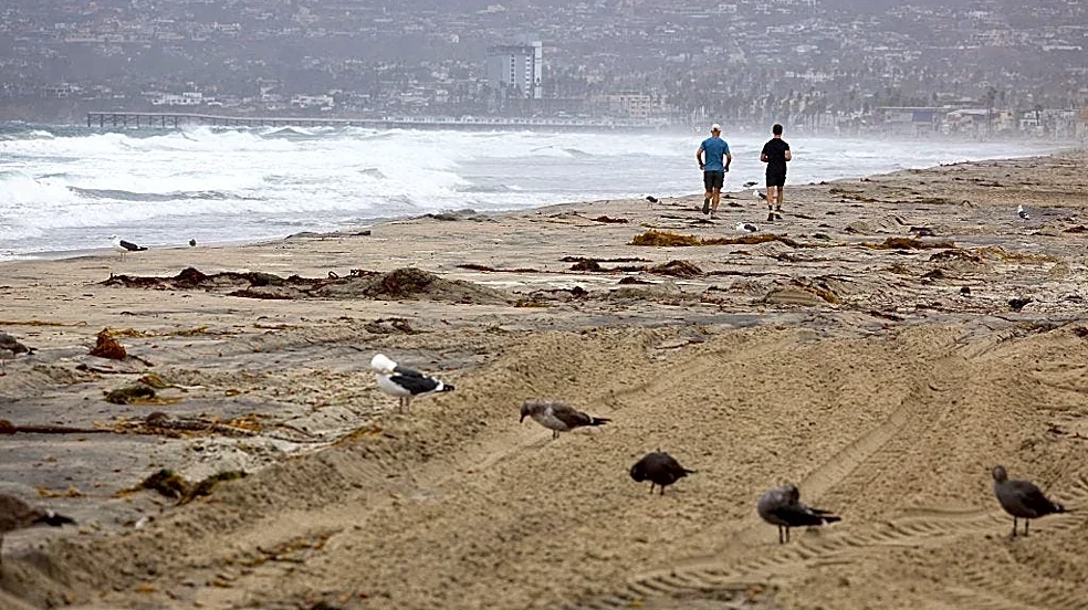 El Niño and a Kelvin wave are brewing — what that means for California