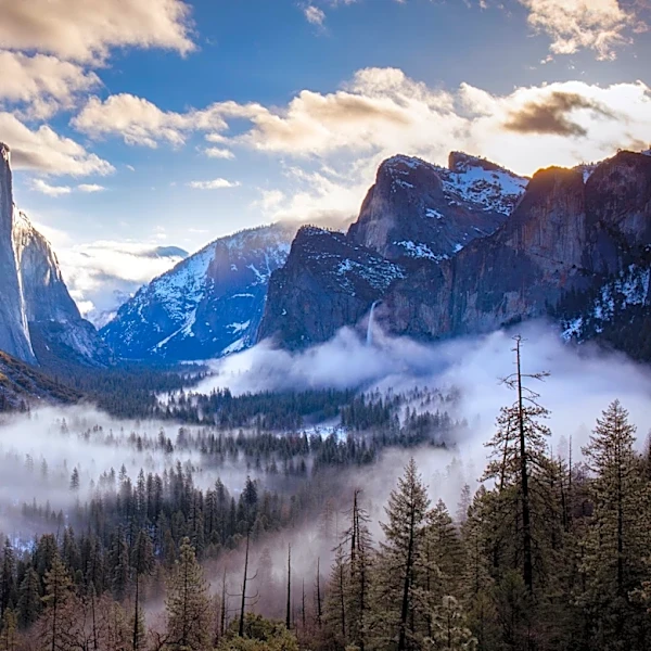 3 California national parks rank among nation's deadliest, report finds