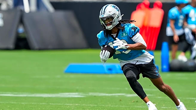 Panthers' standout rookie WR carted off from practice with apparent knee injury