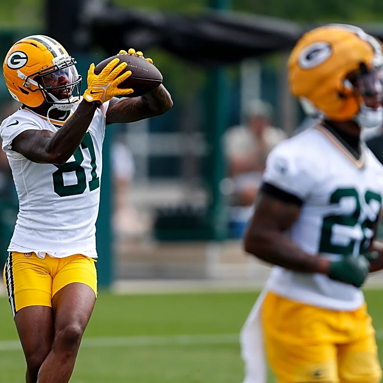 Panthers work out former Packers WR on Tuesday