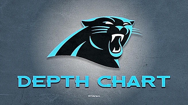 Panthers unofficial depth chart ahead of preseason game vs. Jaguars