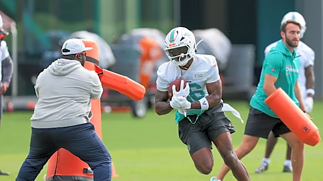 Ex-Panthers draft bust released by Dolphins