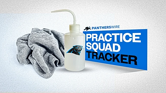 Panthers initial 2026 practice squad tracker: Who is Carolina signing after roster cuts?