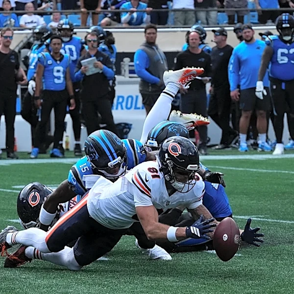 Panthers part ways with fan-favorite WR in shocking move on Tuesday