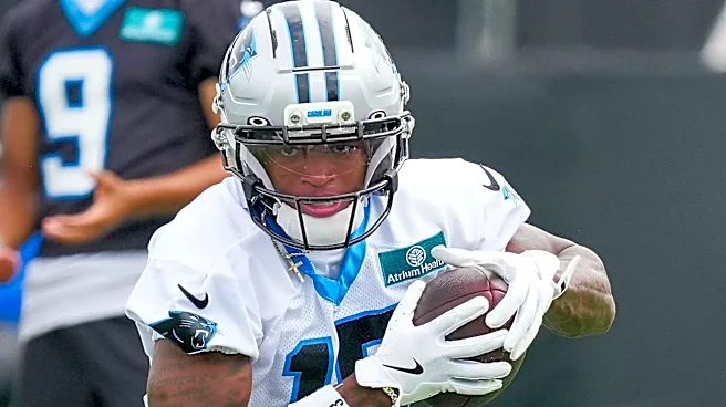 Recently-cut Panthers WR reportedly signing with new team