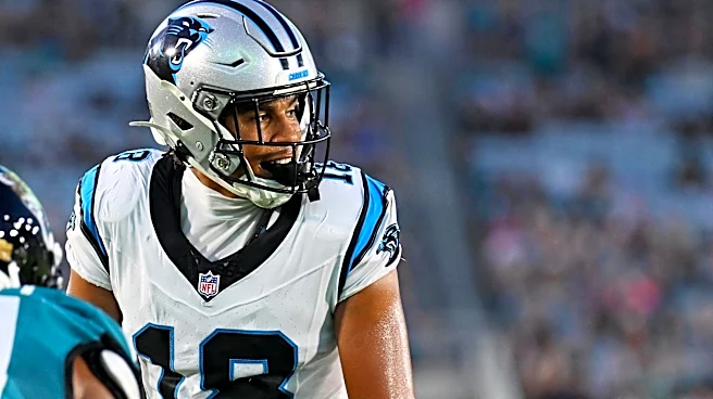 Former Panthers WR makes an interesting declaration about who the team's best pass catcher is