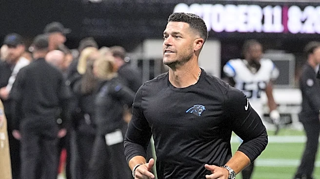 NFL analyst gives Panthers perfect grade for Week 2 win