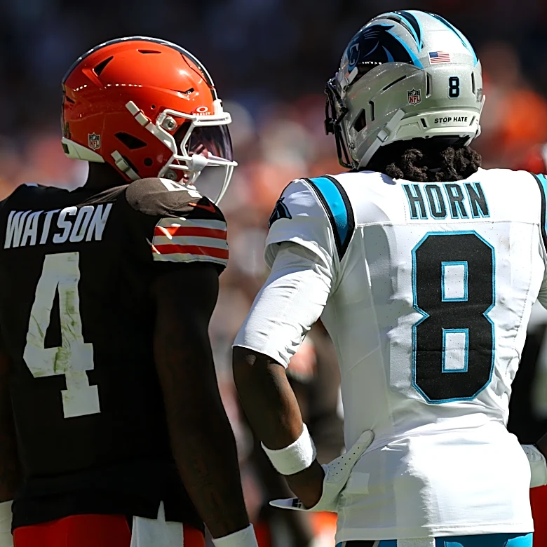 Panthers suffer multiple injuries to key players in loss to Browns