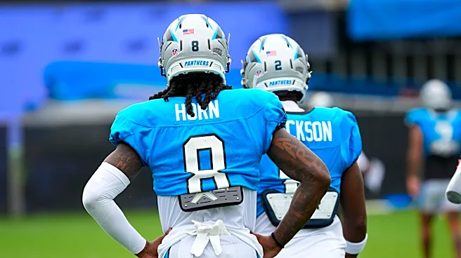 Panthers leading NFL in unfortunate category heading into Week 5