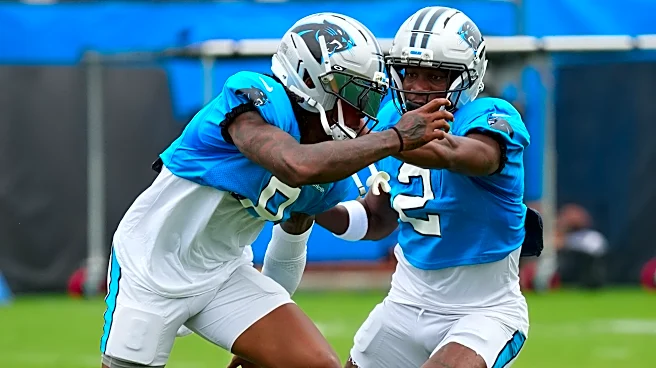 NFL analyst names Panthers' biggest need ahead of trade deadline