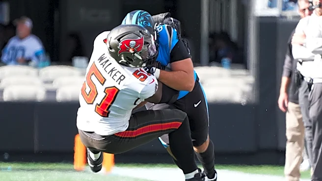 NFL analyst calls Panthers' Week 7 loss to Bucs a 'vile performance'