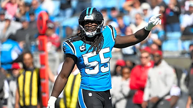 ESPN: Panthers' big free-agent pickup 'well worth' the price