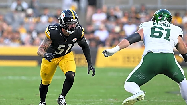 Gimme Him: Underrated Steelers LB could spark Patriots pass-rush