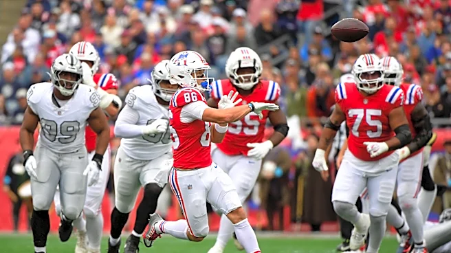 Mike Vrabel made perfect Efton Chism comparison on Patriots trick play
