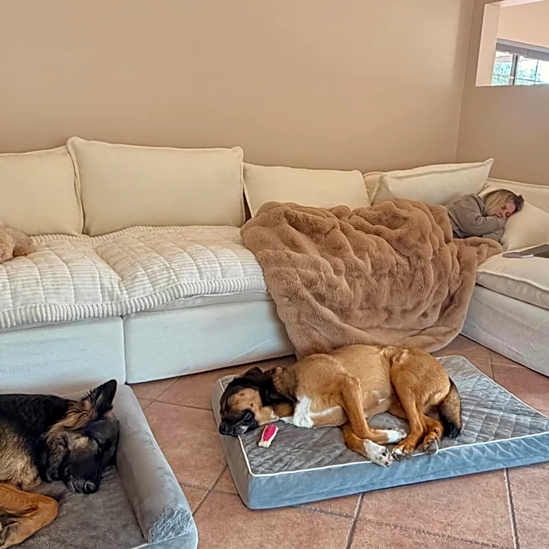 Attention: I've Officially Found the Internet's Best Napping Sofa