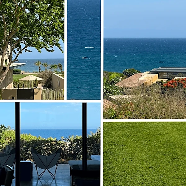 How I Reset My Nervous System on a Solo Trip in Los Cabos