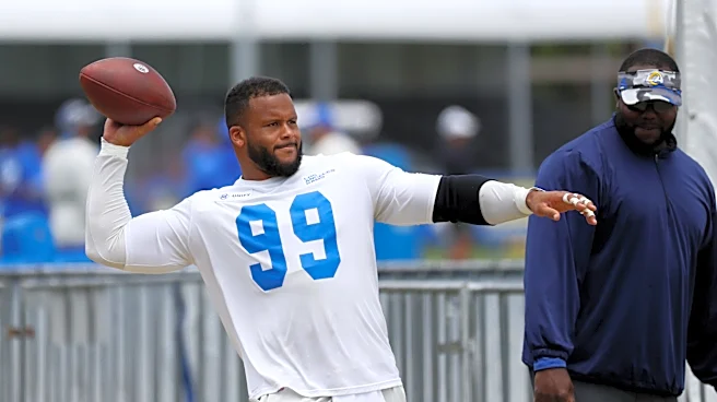 Look: Aaron Donald in a Rams helmet training at UCLA