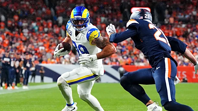 Tyler Higbee on his big Week 3 performance: 'Old dog's still got it'