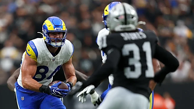 Matthew Stafford praises Colby Parkinson for 'unbelievable' toughness