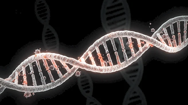 Researchers Identify Ancient Viral DNA's Role in Human Development