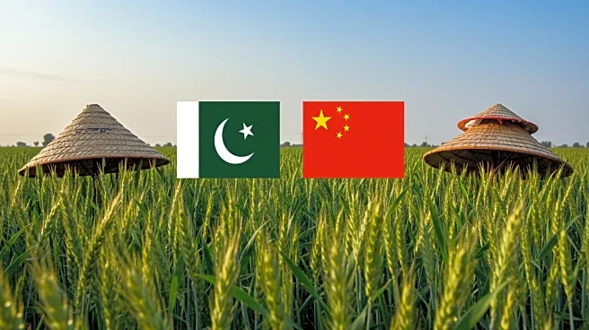 Pakistan Ambassador Strengthens Agricultural Ties with Gansu Province