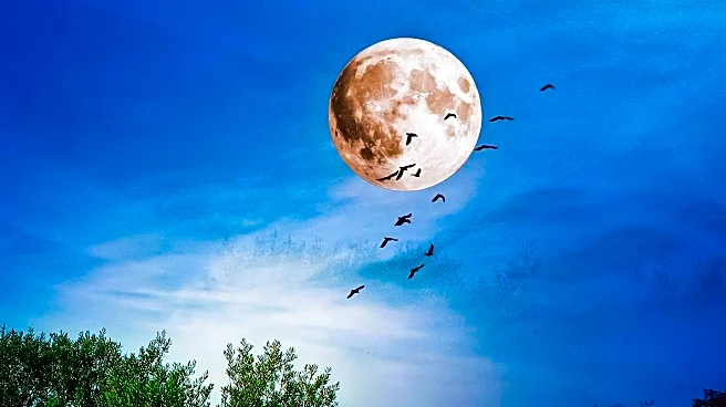Washington Experiences Perfect Summer Day with Full Moon
