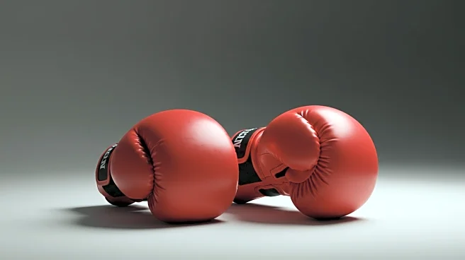 Japanese Boxing Commission Reduces Title Fight Rounds Following Fatalities