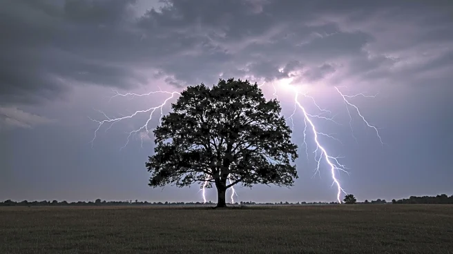 Nebraska Storms Cause Fatality, Injuries, and Prisoner Displacement