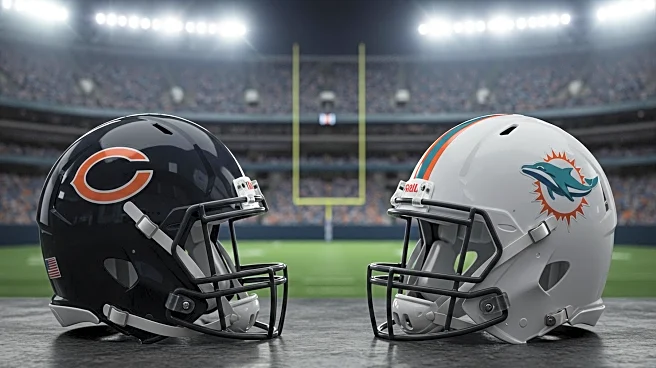 Bears vs. Dolphins NFL Preseason Game Broadcast Details