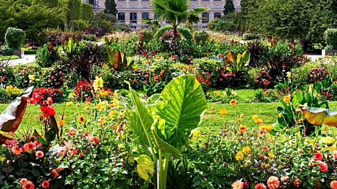 Liberate Launches Flowerbed Design Competition for Channel Islands Pride Celebration