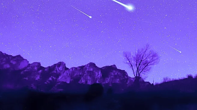 Michigan Residents Witness August's Sturgeon Moon and Perseid Meteor Shower