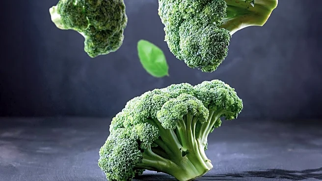 Botulism Outbreak in Italy Linked to Broccoli Leaves One Dead, Nine Hospitalized
