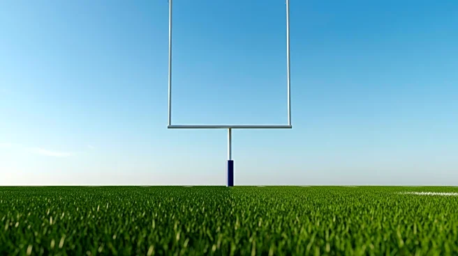 Buffalo Bills Sign Kicker Caden Davis as Tyler Bass Recovers from Injury