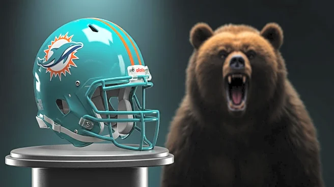 Quinn Ewers Struggles in Miami Dolphins Preseason Debut Against Bears