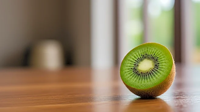 New Zealand Introduces Work Visas to Combat Labor Shortages in Key Industries