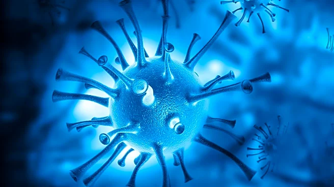 World Health Organization Reports Chikungunya Virus Spread and Global Impact