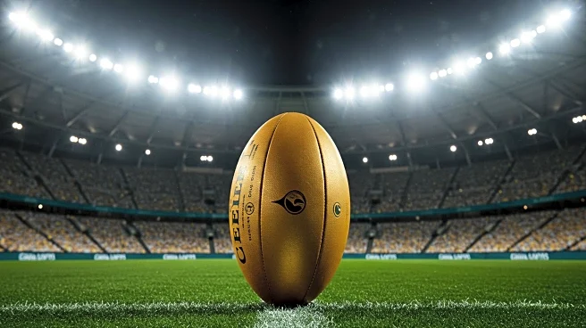 Wallabies Aim for Rugby Championship Success to Secure Favorable World Cup Draw