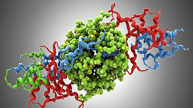 Research Unveils Multichaperone Condensate's Role in Protein Folding in Endoplasmic Reticulum