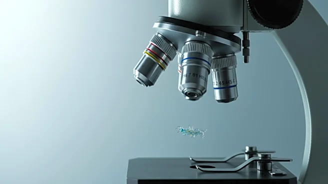 Researchers Develop Method to Detect Microplastic Contamination in Food, Highlighting Health Concerns