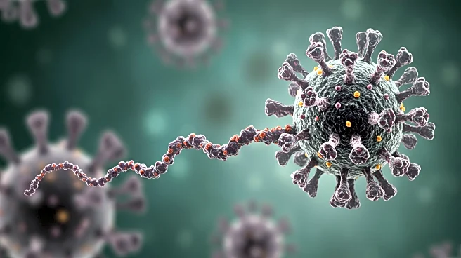 University of Hawai'i Researchers Discover Giant Virus with Unique Tail Structure