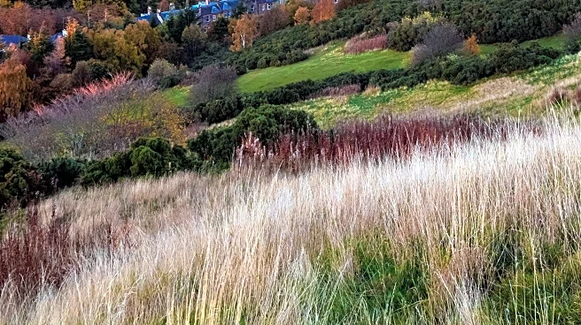 Scottish Fire and Rescue Service Responds to Fire on Arthur's Seat, Edinburgh