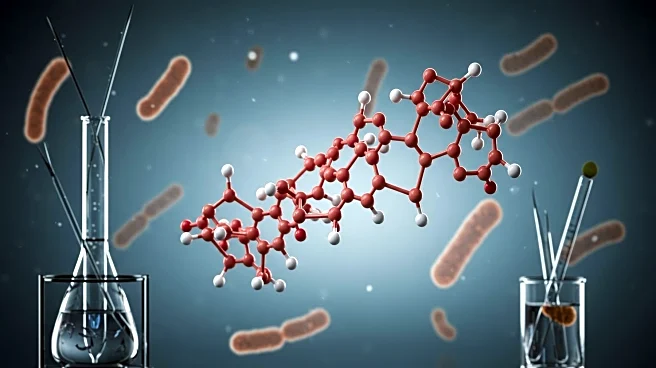 Nature Study Identifies Potent Endolysins Against Pseudomonas Aeruginosa