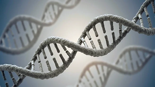 Research Identifies Toggle Genes in Chronic Lymphocytic Leukemia Proliferation