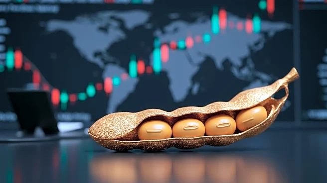 President Trump Urges China to Quadruple Soybean Orders Amid Trade Tensions